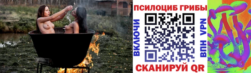 Псилоцибиновые грибы прущие грибы  купить закладку  Волгоград 